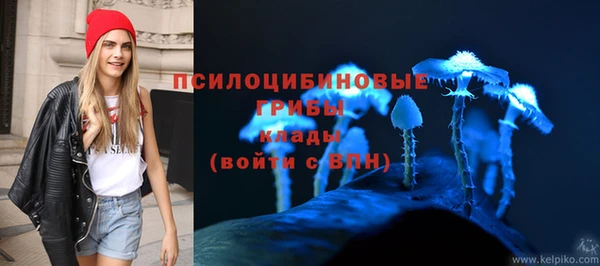 трава Армянск
