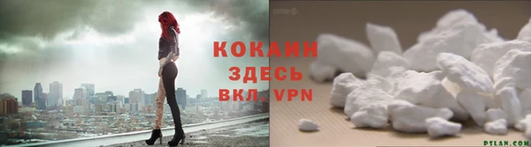 гашик Аркадак