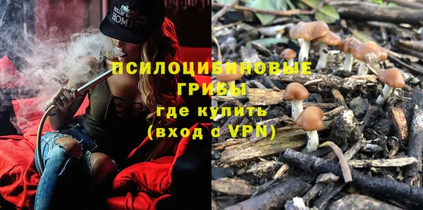 трава Армянск