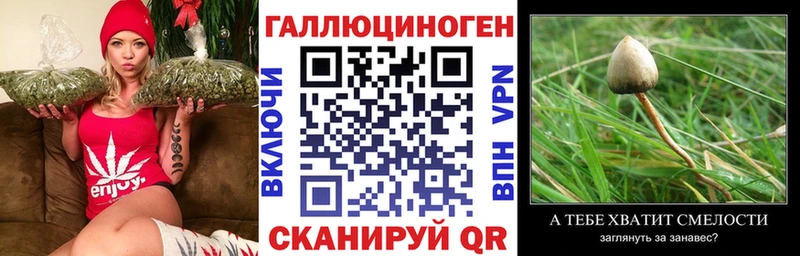 где купить наркоту Сибай Псилоцибиновые грибы MAGIC MUSHROOMS